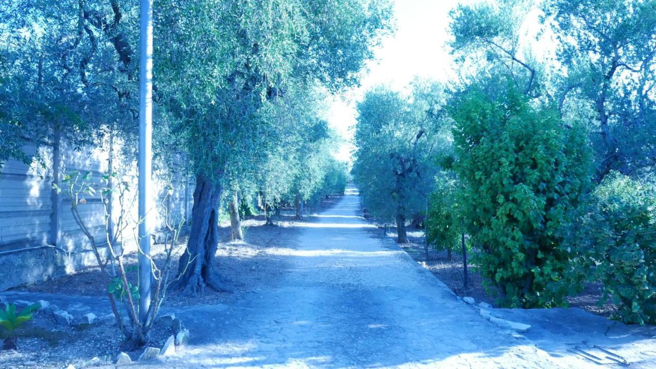 ビトント Aspromonte Yellow House Bed & Breakfast エクステリア 写真