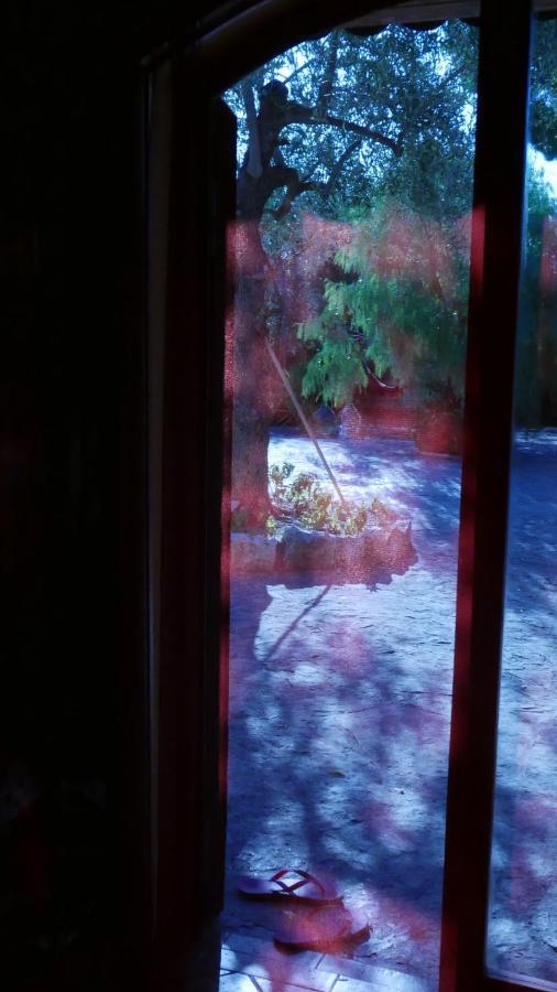 ビトント Aspromonte Yellow House Bed & Breakfast エクステリア 写真